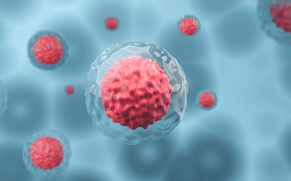 Anti-Infective Drugs