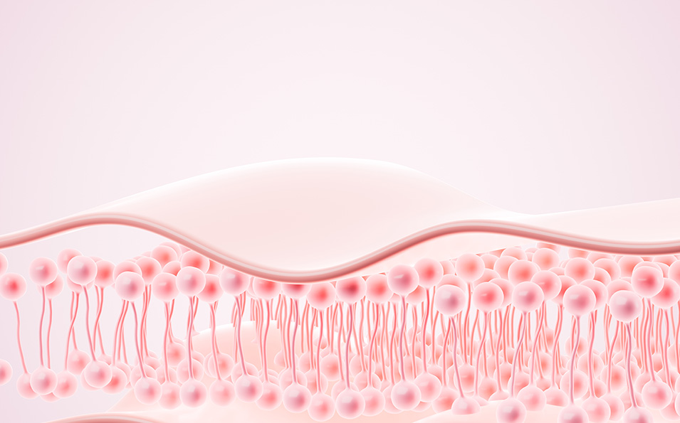 Skin External Products