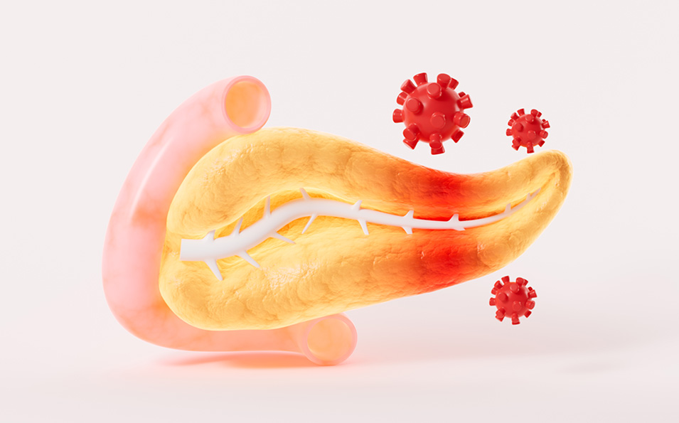 Drugs Of The Endocrine And Metabolic Systems