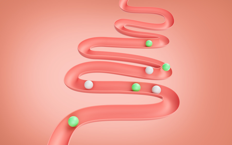 Digestive System Medications